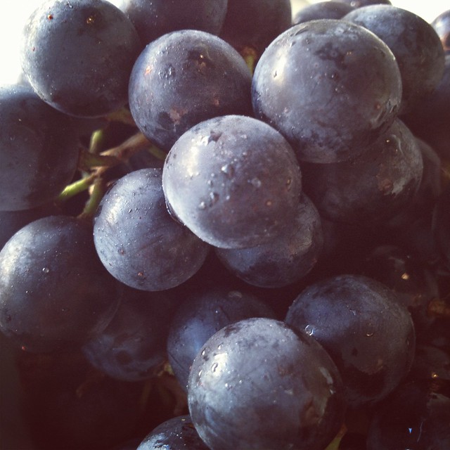 Coronation grapes